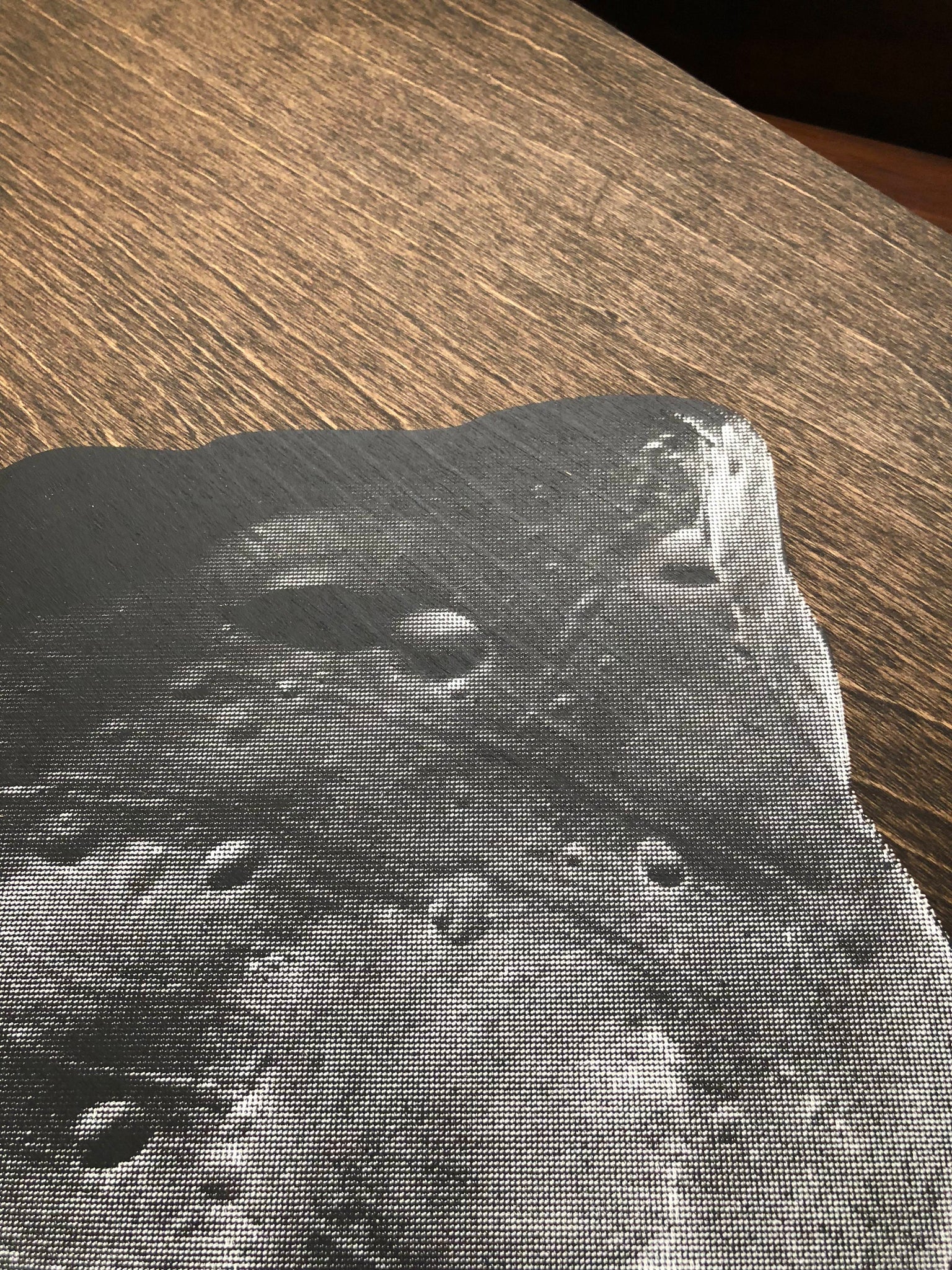 Phobos Print on Wood